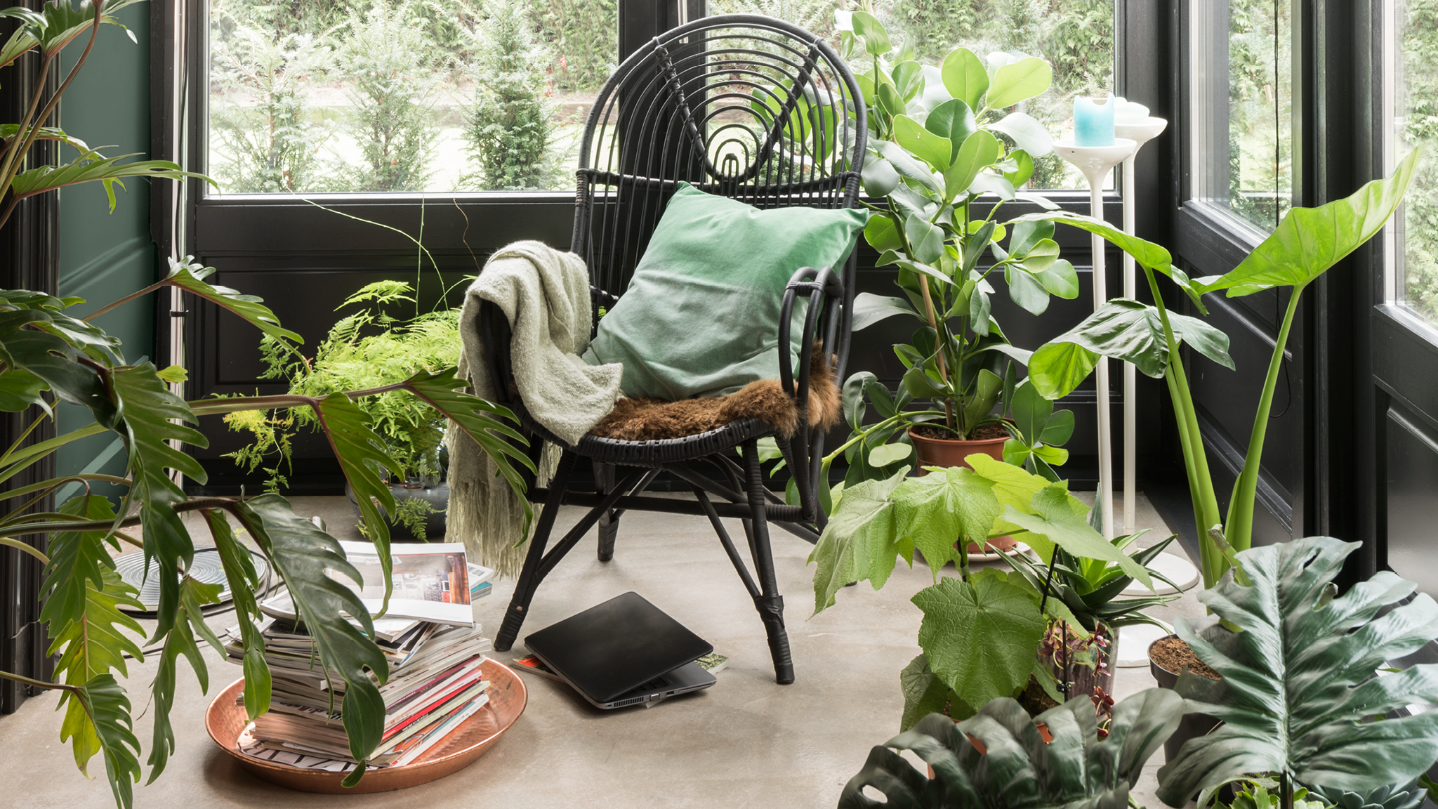 Light room with plants Add to the rich atmosphere of a room of plants by using a varied palette of greens.